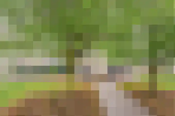 Kees de Beverpad 13 Eindhoven thumbnail 34