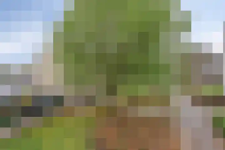 Kees de Beverpad 13 Eindhoven thumbnail 36