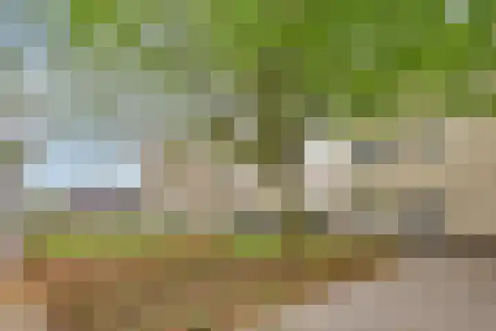 Kees de Beverpad 13 Eindhoven thumbnail 38