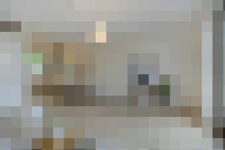 Kees de Beverpad 13 Eindhoven thumbnail 8