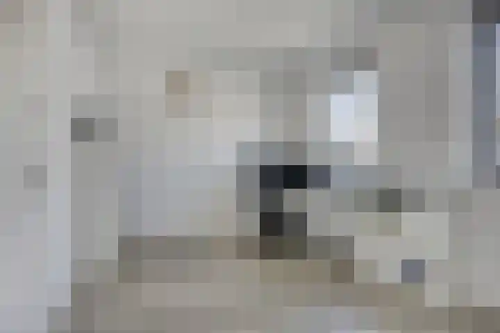 Kees de Beverpad 27 Eindhoven thumbnail 19