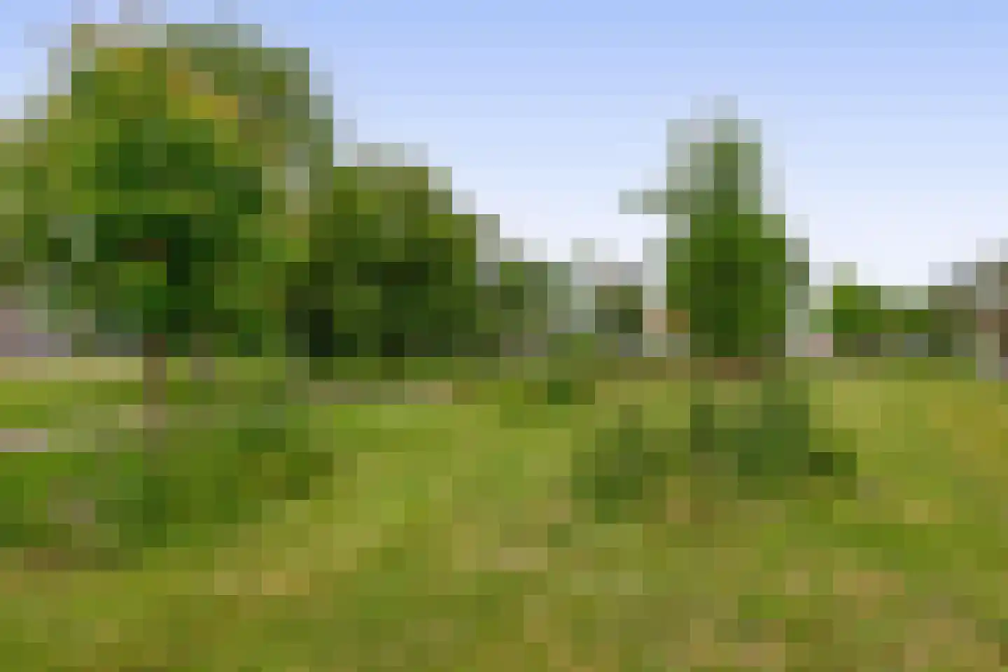 Kees de Beverpad 28 Eindhoven thumbnail 39