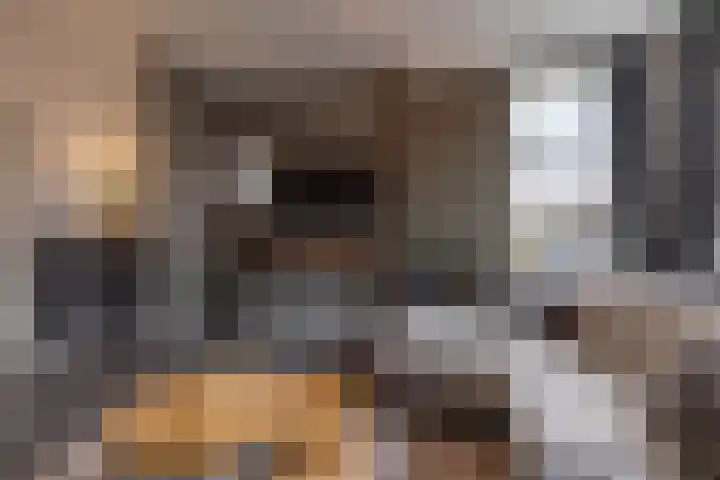 Kees de Haanstraat 30 Sappemeer thumbnail 12