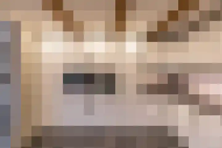 Kees de Haanstraat 30 Sappemeer thumbnail 19