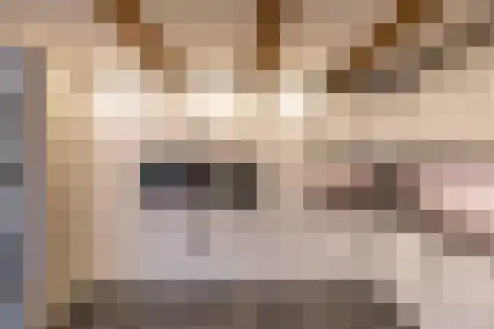 Kees de Haanstraat 30 Sappemeer thumbnail 20