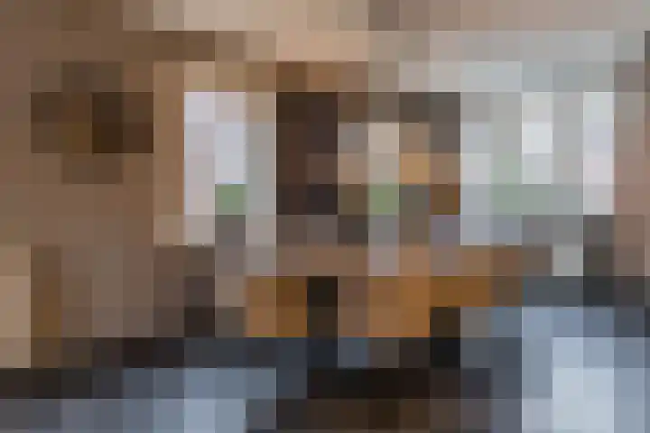 Kees de Haanstraat 30 Sappemeer thumbnail 26