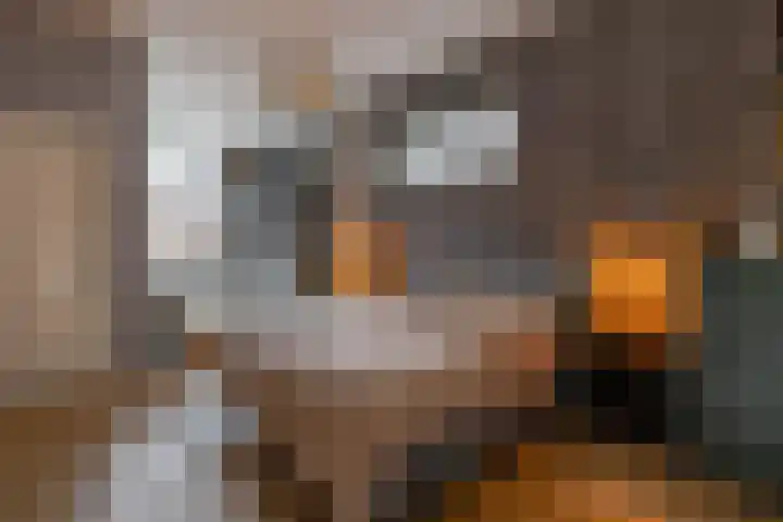 Kees de Haanstraat 30 Sappemeer thumbnail 30