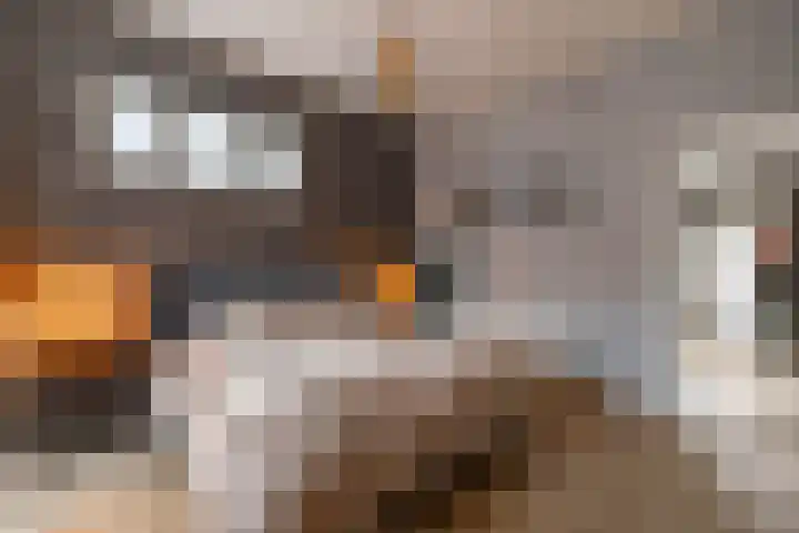 Kees de Haanstraat 30 Sappemeer thumbnail 35