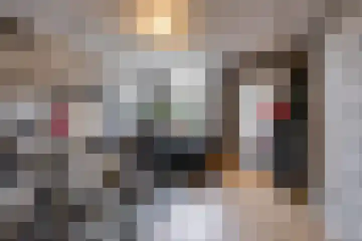 Kees de Haanstraat 30 Sappemeer thumbnail 36