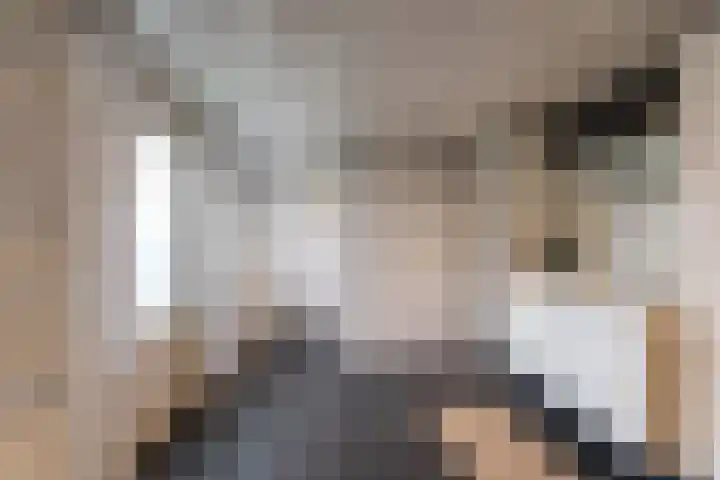 Kees de Haanstraat 30 Sappemeer thumbnail 37