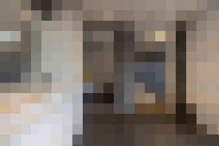 Kees de Haanstraat 30 Sappemeer thumbnail 39