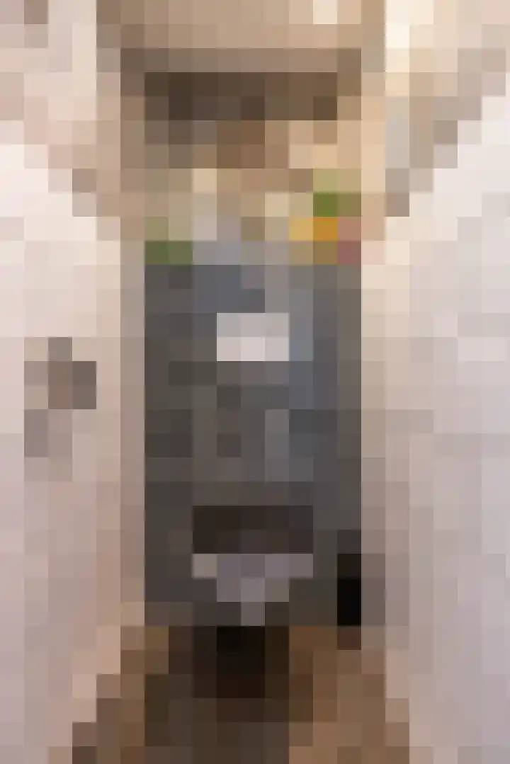 Kees de Haanstraat 30 Sappemeer thumbnail 41