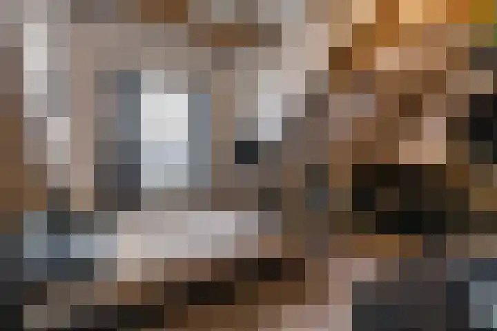 Kees de Haanstraat 30 Sappemeer thumbnail 42