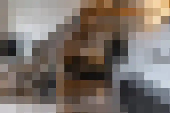 Kees de Haanstraat 30 Sappemeer thumbnail 44