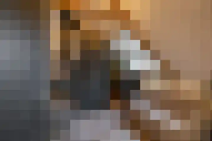 Kees de Haanstraat 30 Sappemeer thumbnail 45
