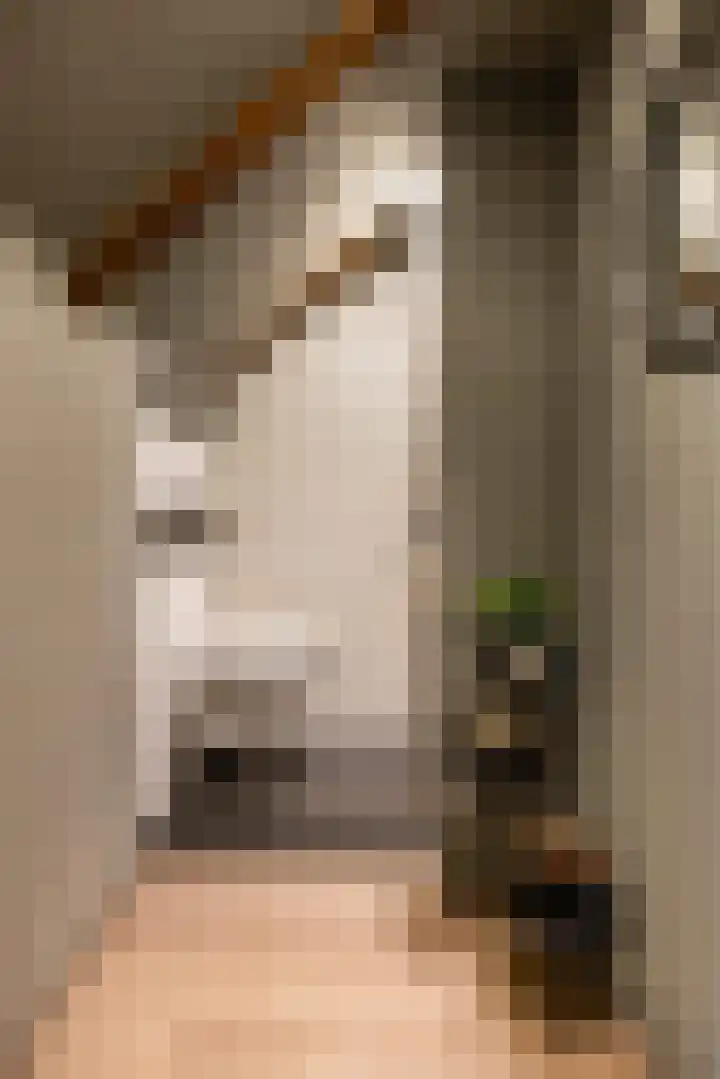 Kees de Haanstraat 30 Sappemeer thumbnail 48