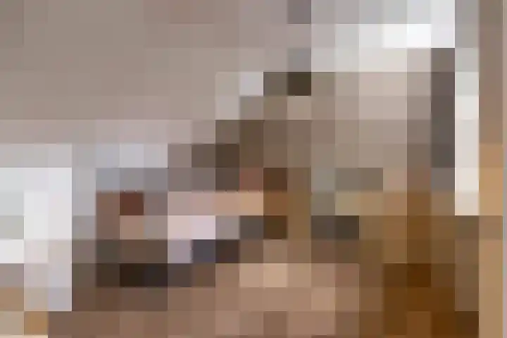Kees de Haanstraat 30 Sappemeer thumbnail 50