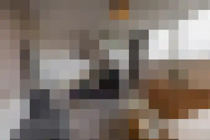 Kees de Haanstraat 30 Sappemeer thumbnail 59
