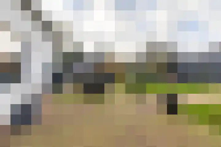 Kees de Haanstraat 30 Sappemeer thumbnail 62