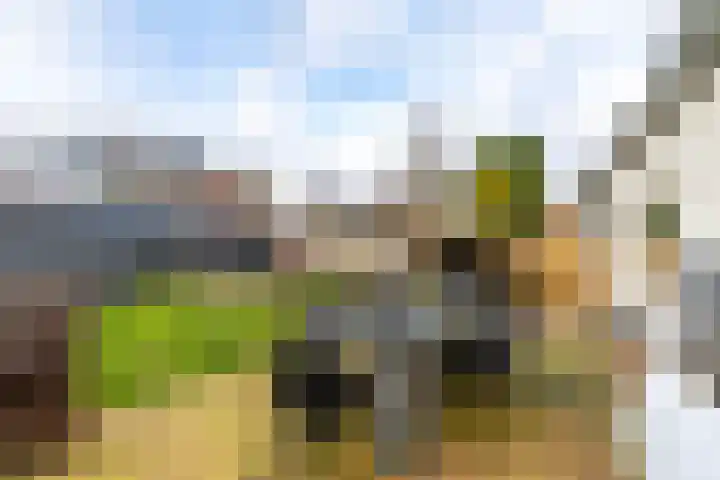 Kees de Haanstraat 30 Sappemeer thumbnail 63