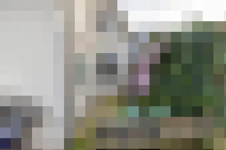 Kees de Haanstraat 30 Sappemeer thumbnail 68