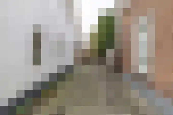Kees de Haanstraat 30 Sappemeer thumbnail 69