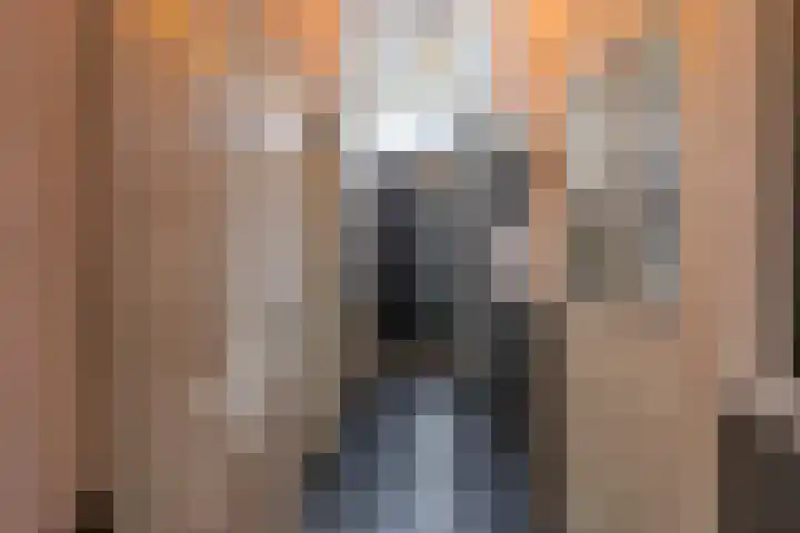 Kees de Haanstraat 30 Sappemeer thumbnail 9