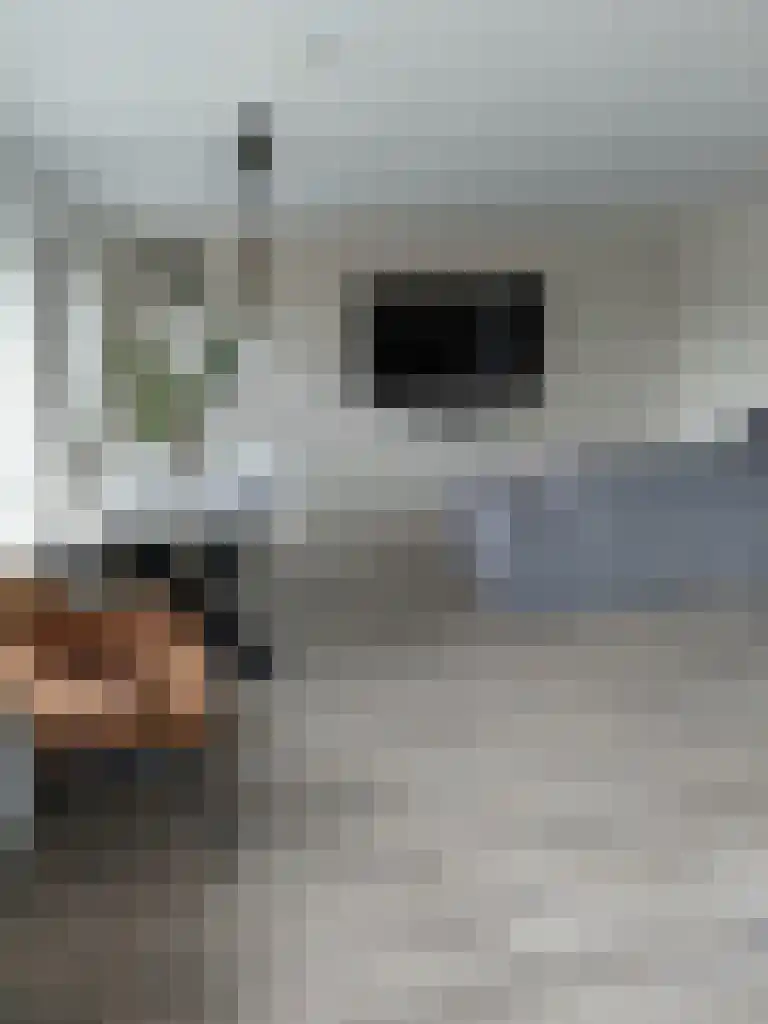 Kees de Haanstraat 44 Sappemeer thumbnail 8