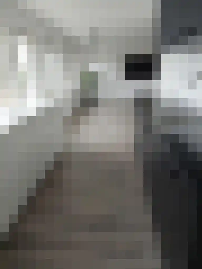 Kees de Haanstraat 44 Sappemeer thumbnail 9