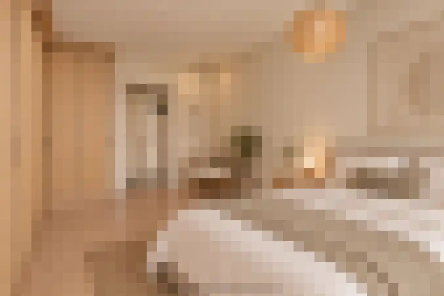 Kees de Haanstraat 67 Sappemeer thumbnail 10
