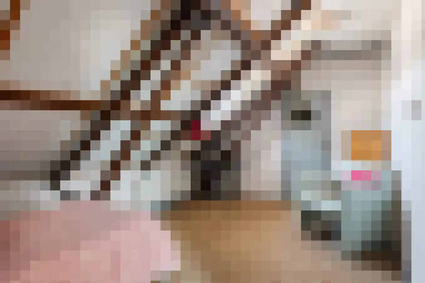 Kees de Haanstraat 67 Sappemeer thumbnail 42