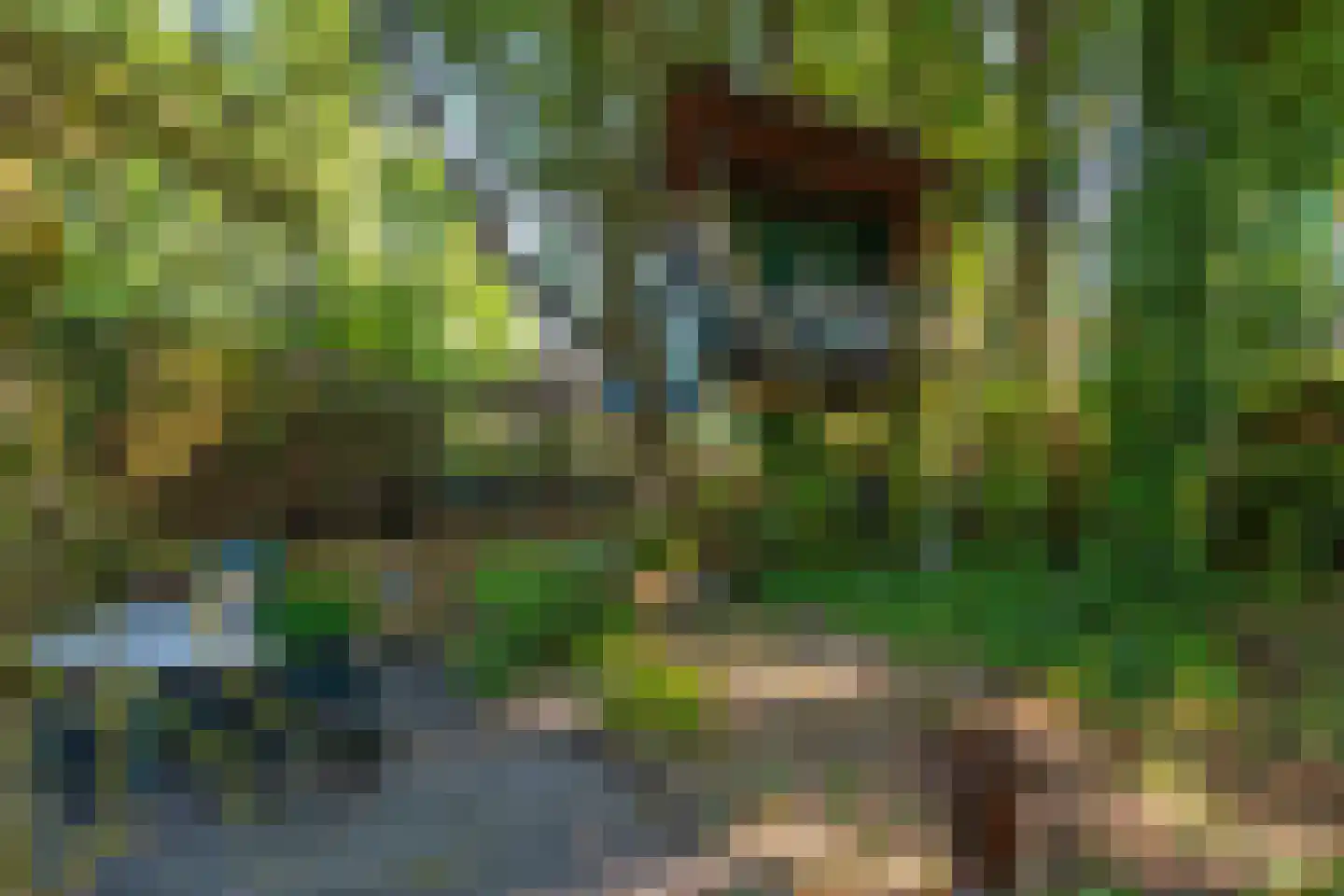 Kees de Haanstraat 67 Sappemeer thumbnail 48