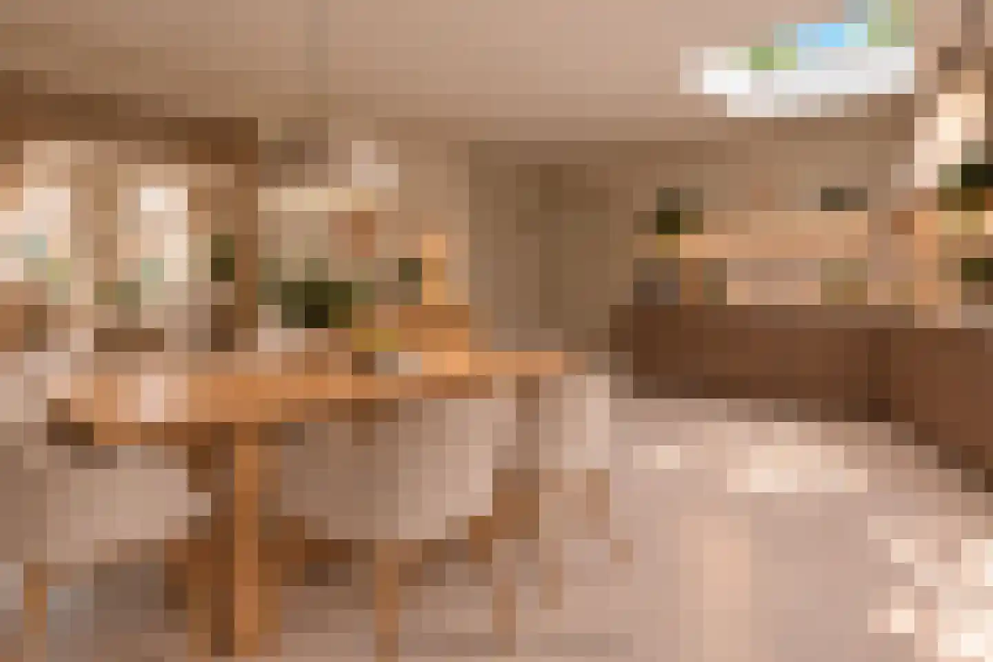 Kees de Haanstraat 67 Sappemeer thumbnail 6