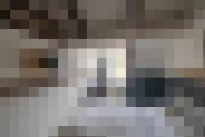 Kees de Haanstraat 68 Sappemeer thumbnail 15