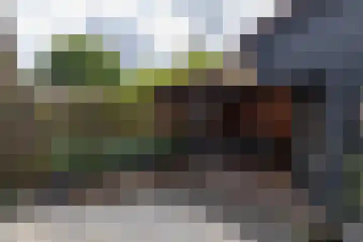 Kees de Haanstraat 68 Sappemeer thumbnail 23