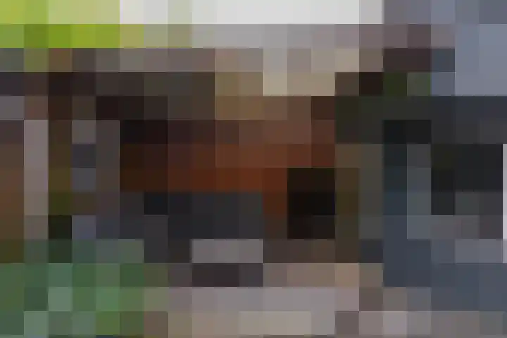Kees de Haanstraat 68 Sappemeer thumbnail 24