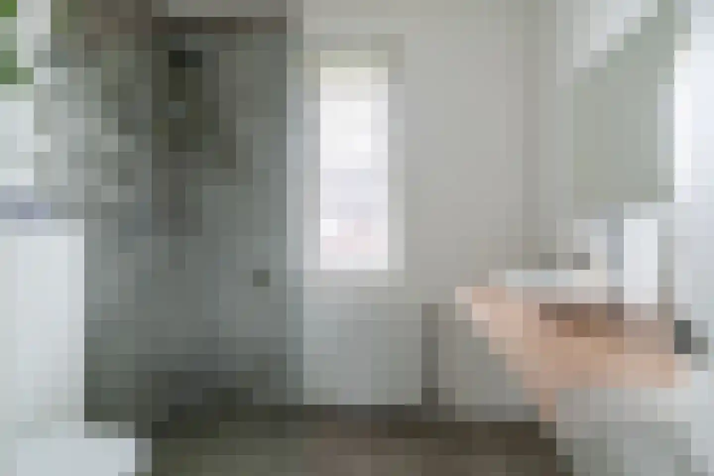 Kees en Henny de Ruijterstraat 3 Waalwijk thumbnail 18