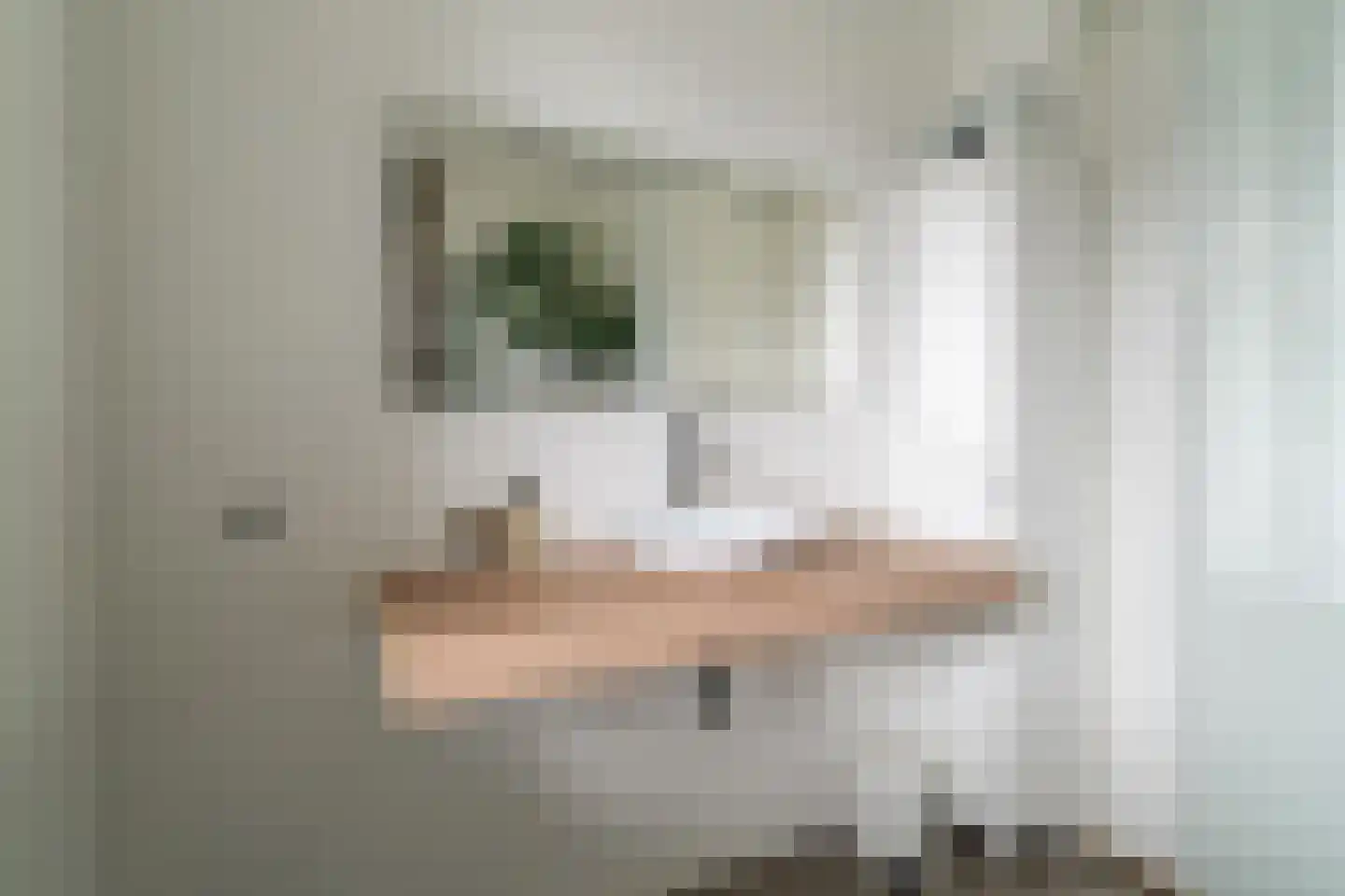 Kees en Henny de Ruijterstraat 3 Waalwijk thumbnail 20