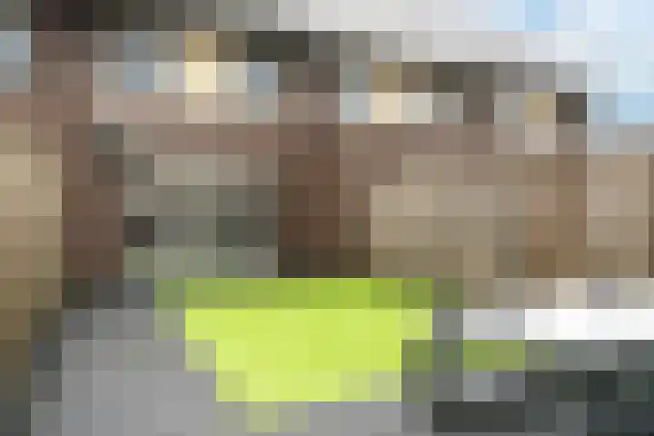 Kees en Henny de Ruijterstraat 5 Waalwijk thumbnail 25