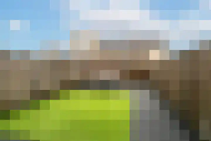 Kees en Henny de Ruijterstraat 5 Waalwijk thumbnail 26