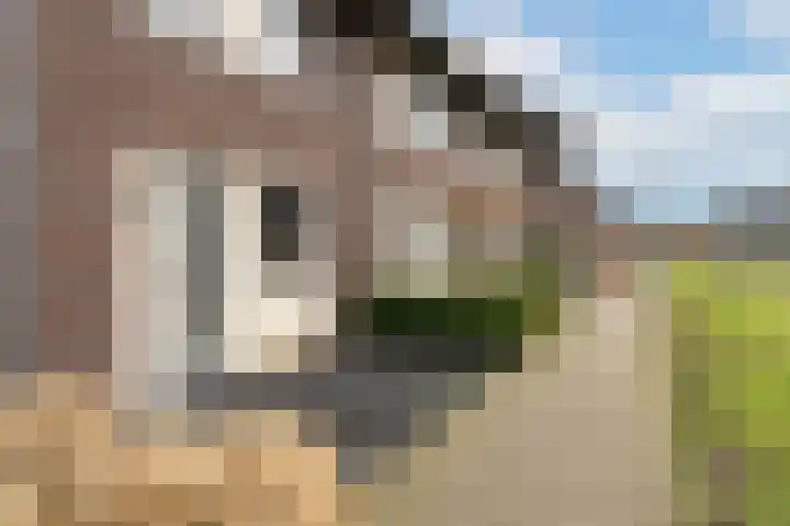 Kees en Henny de Ruijterstraat 5 Waalwijk thumbnail 29