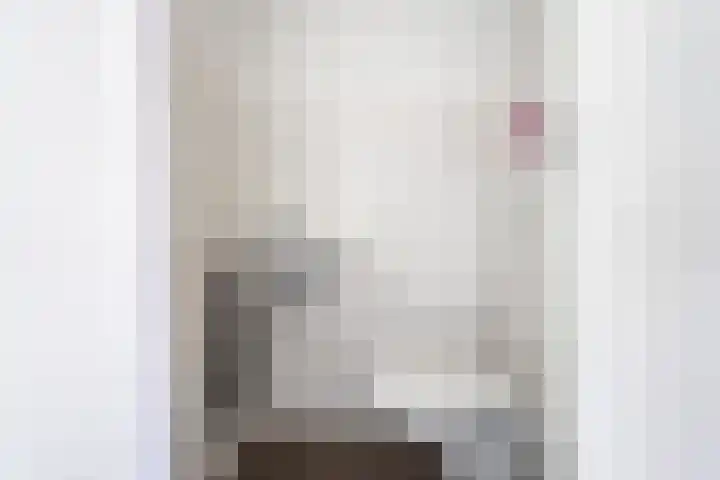 Kees en Henny de Ruijterstraat 5 Waalwijk thumbnail 5