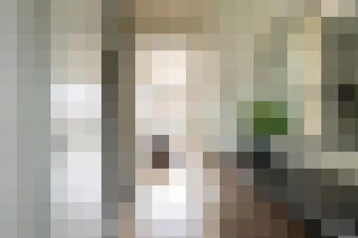 Kees en Henny de Ruijterstraat 5 Waalwijk thumbnail 6