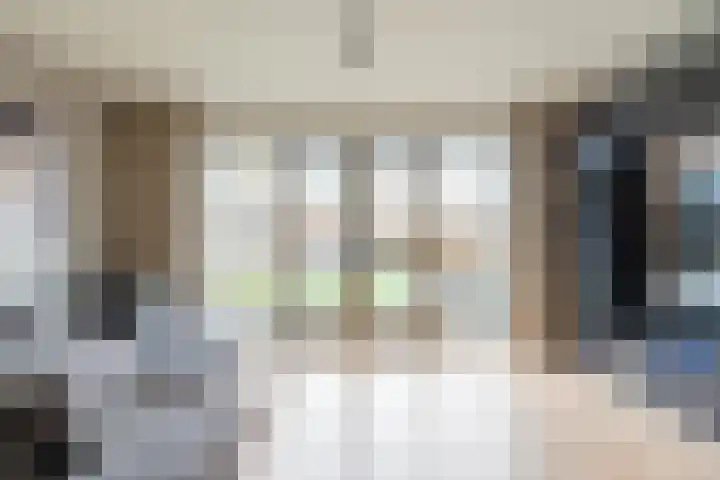 Kees en Henny de Ruijterstraat 5 Waalwijk thumbnail 7