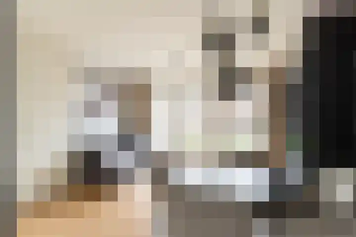 Kees en Henny de Ruijterstraat 5 Waalwijk thumbnail 9