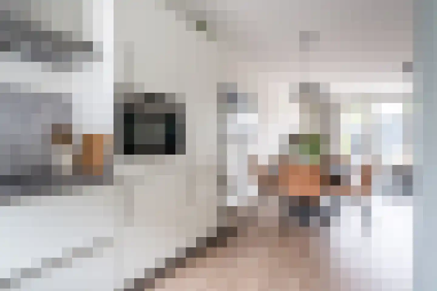 Kees Geenenstraat 1 Eindhoven thumbnail 12