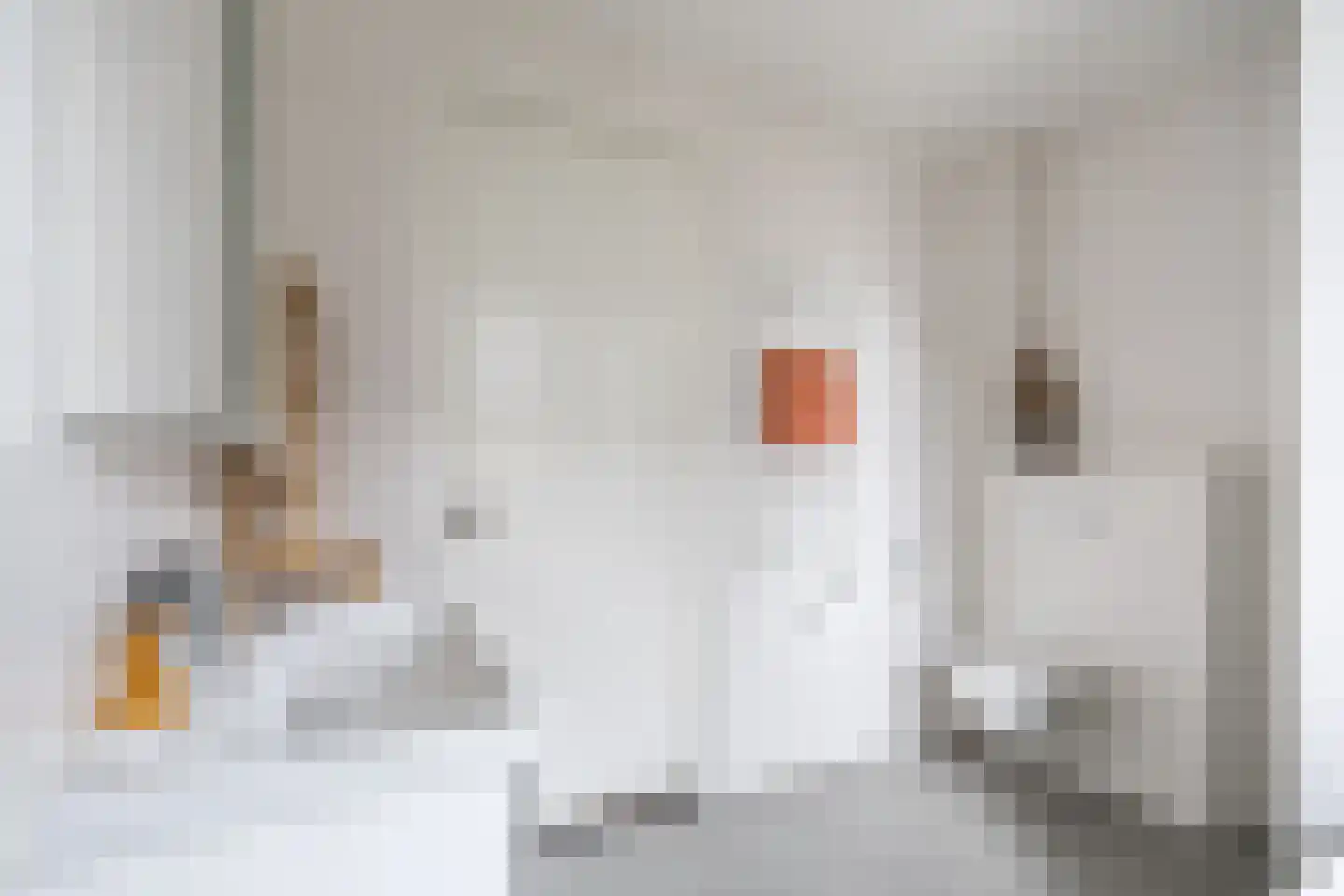 Kees Geenenstraat 1 Eindhoven thumbnail 23