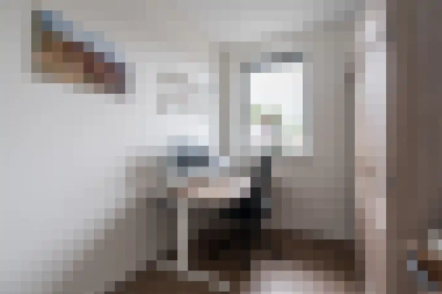 Kees Geenenstraat 1 Eindhoven thumbnail 27
