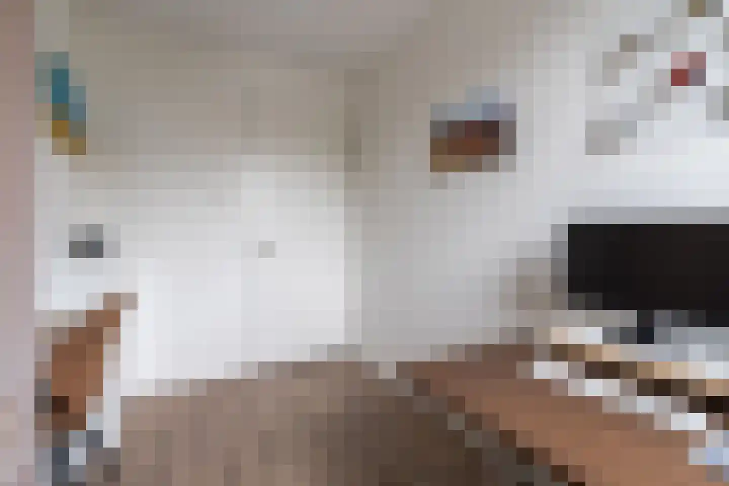 Kees Geenenstraat 1 Eindhoven thumbnail 28