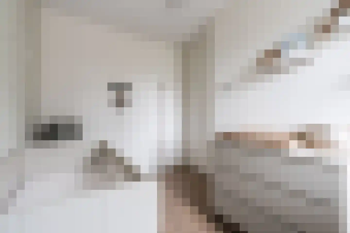 Kees Geenenstraat 1 Eindhoven thumbnail 33